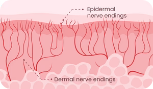 last longer spray desensitizes nerves 300x